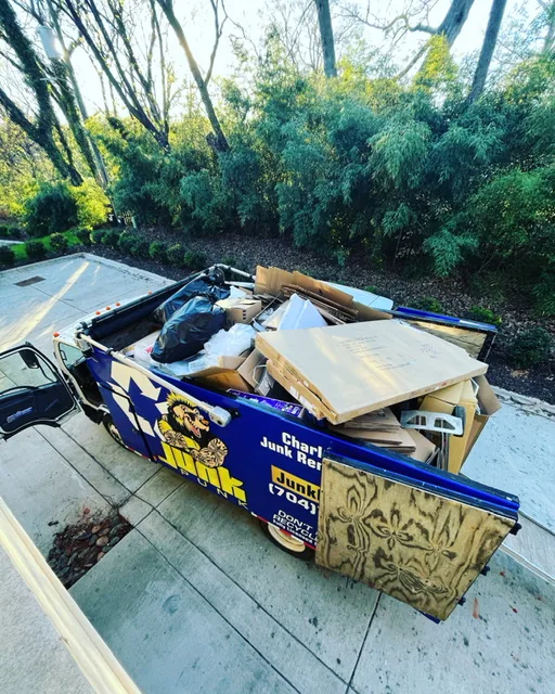 Cardboard and junk, Charlotte